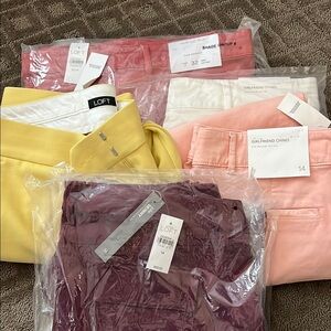 LOFT Women's Pants Collection - Size 14
